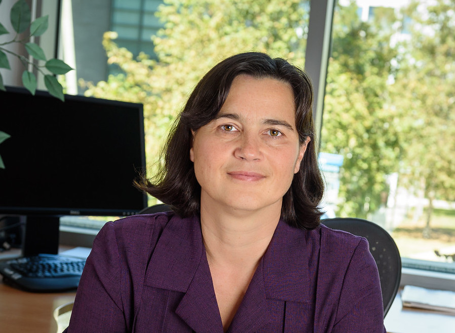 Professor Tajana Rosing